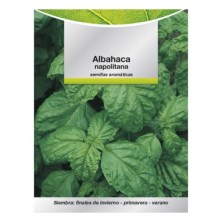 Semillas Aromáticas Albahaca Gigante (5 gramos) Horticultura, Horticola, Semillas Huerto,