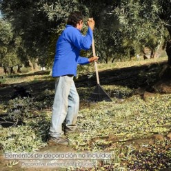 Mango Madera Conico 1500x28 mm, Rastrillo Plástico