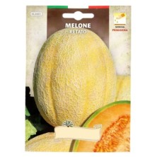Semillas Melon Cantalupo (3 gramos) Semillas Frutas, Horticultura, Horticola, Semillas Huerto,