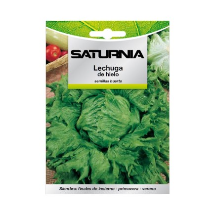 Semillas Lechuga Reina Del Hielo (7 gramos) Semillas Verduras, Horticultura, Horticola, Semillas Huerto,