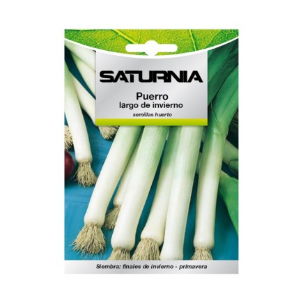 Semillas Puerro Largo De Invierno (3 gramos) Semillas Verduras, Horticultura, Horticola, Semillas Huerto,