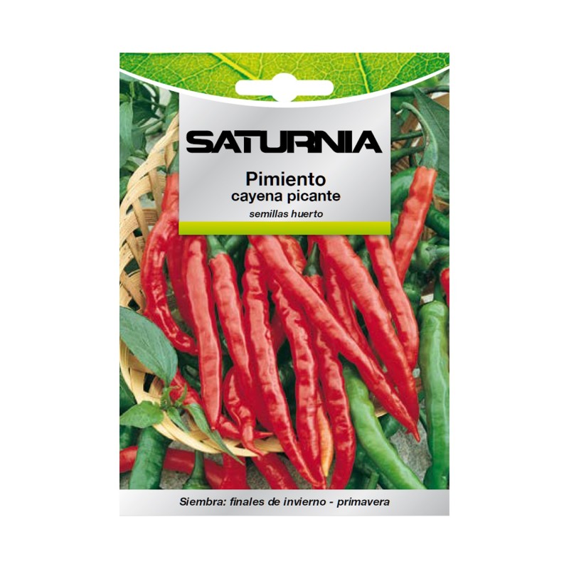 Semillas Pimiento Cayena Picante (1,5 gramos) Semillas Verduras, Horticultura, Horticola, Semillas Huerto,