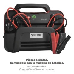 Carga Baterias 12/24V 10-100Ah