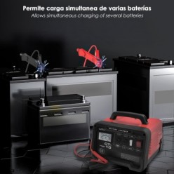 Carga Baterias 12/24V 10-100Ah