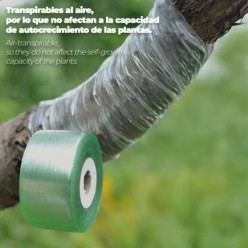 Cinta Injertar Elastica 3 cm, x 100 metros,