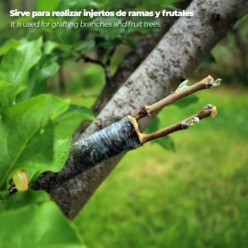 Cinta Injertar Elastica 3 cm, x 100 metros,