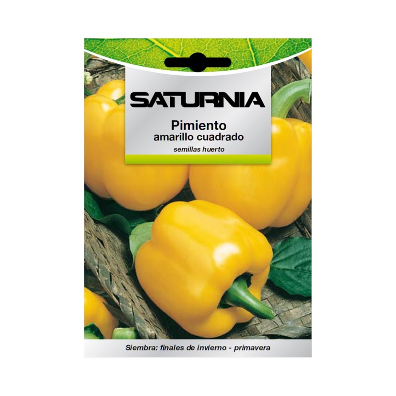 Semillas Pimiento Amarillo Cuadrado (1,5 gramos) Semillas Verduras, Horticultura, Horticola, Semillas Huerto,