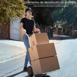 Caja Embalaje Nº4 Anonima 256 x 155 x 136 mm,
