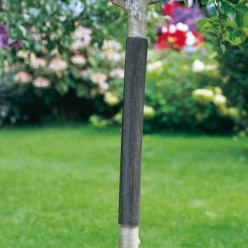 Protector Arbol 3 x 3 mm, 60 cm, Bolsa 4 unidades