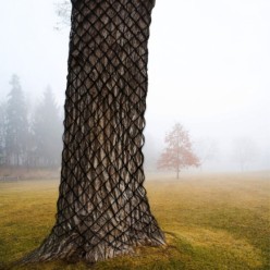 Protector Arbol 3 x 3 mm, 60 cm, Bolsa 4 unidades