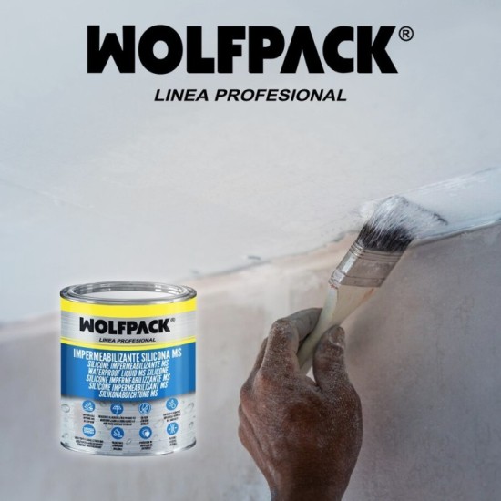 Impermeabilizante Silicona Ms Polymer Blanco 1 Kg, Silicona Liquida, Revestimiento Acrilico, Impermeabilizante, Pintura Acrilica