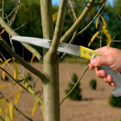 Serrucho Podar Recto Mango TPR JST 240 mm,