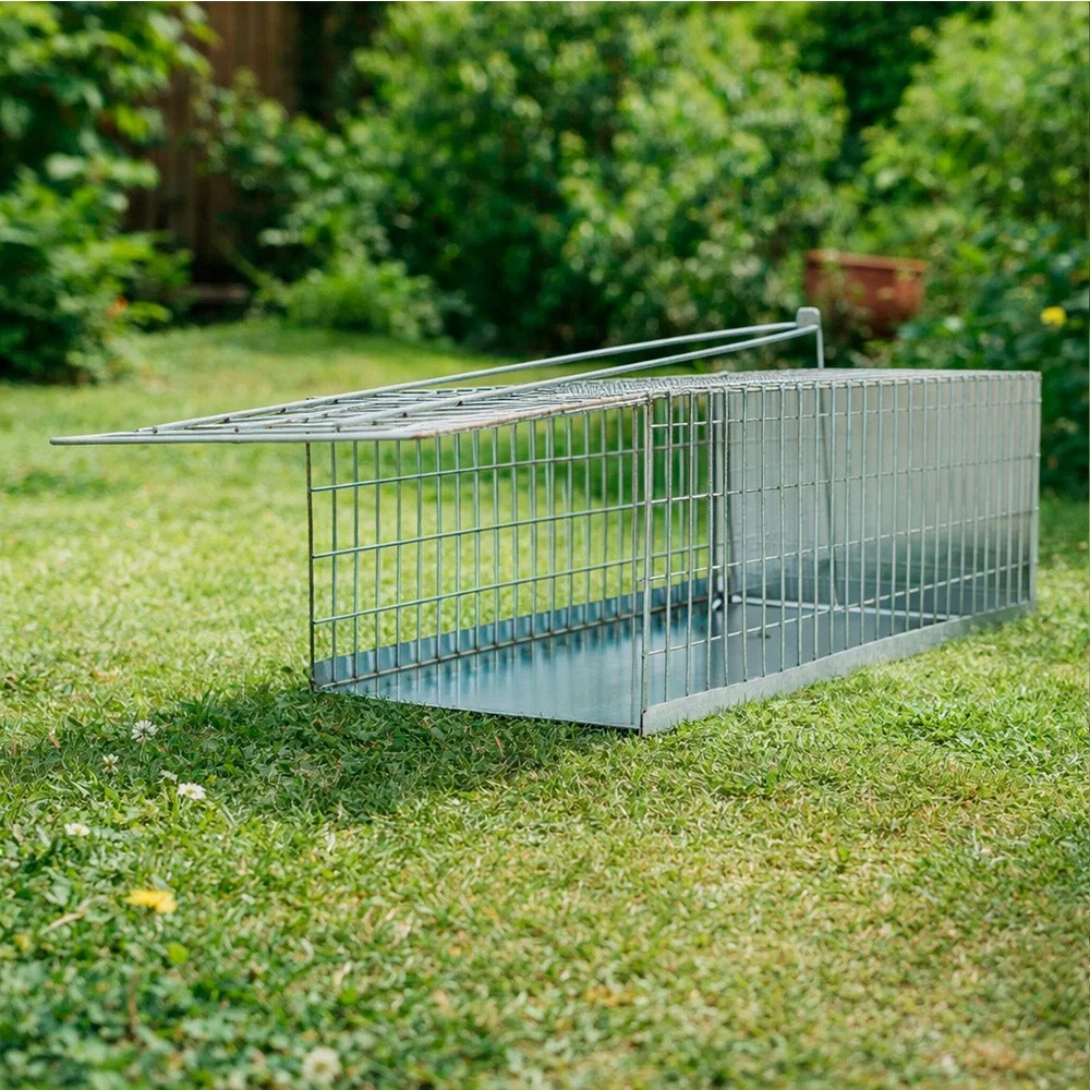 Trampa Ratas Jaula Metal Completa 30 x 17 x 11 cm, al por Mayor | Almacén de Ferretería