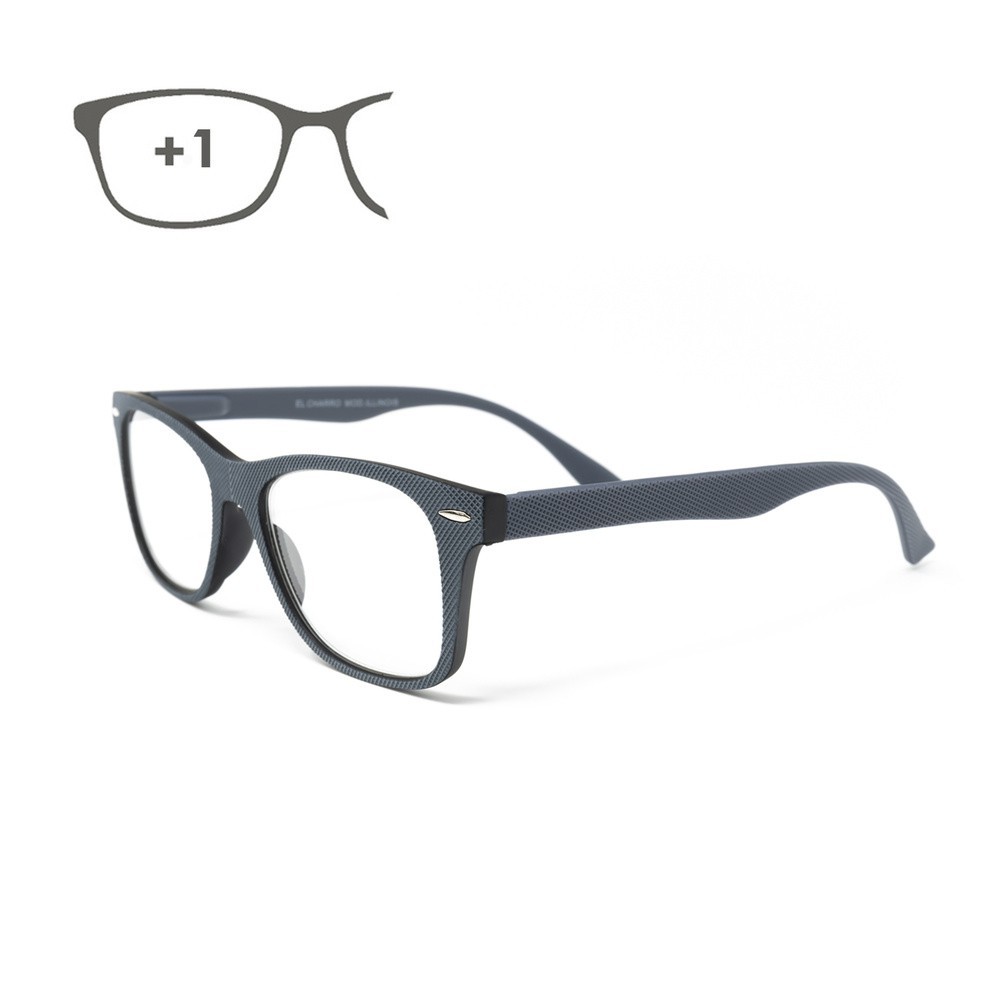 Gafas Lectura Illinois Gris Aumento +1,0 Gafas De Vista, Gafas De Aumento, Gafas Visión Borrosa al por Mayor | Almacén de Ferret