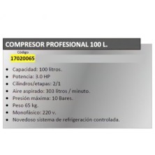 Compresor Profesional 100 Litros Hp3,0