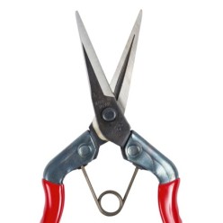 Tijeras Chikamasa Recolectora  T 552  185 mm,