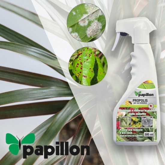 Propoleo Para Hongos y Bacterias 500 ml, Propolis, Fungicida Ecologico, Propoleo de abeja,  (Permitido en agricultura ecologica)