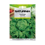 Semillas Lechuga Reina Del Hielo (7 gramos) Semillas Verduras, Horticultura, Horticola, Semillas Huerto, al por Mayor | Almacén 