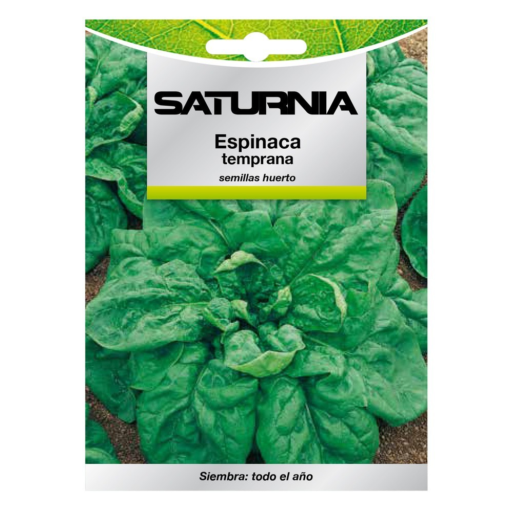 Semillas Espinaca Temprana (8 gramos) Semillas Verduras, Horticultura, Horticola, Semillas Huerto, al por Mayor | Almacén de Fer