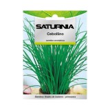 Semillas Aromaticas Cebollino (1 gramo) Horticultura, Horticola, Semillas Huerto, al por Mayor | Almacén de Ferretería