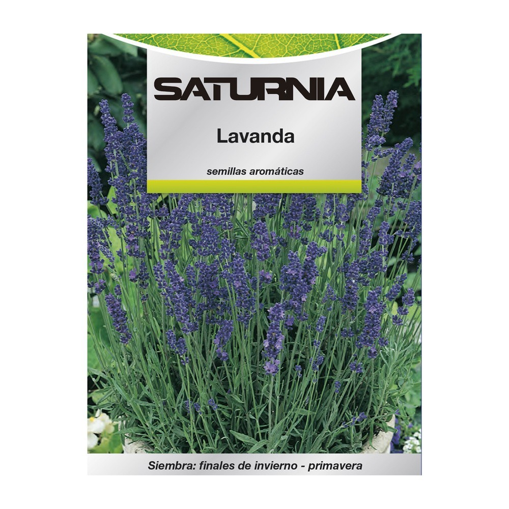 Semillas Aromaticas Lavanda (0,5 gramos) Horticultura, Horticola, Semillas Huerto, al por Mayor | Almacén de Ferretería