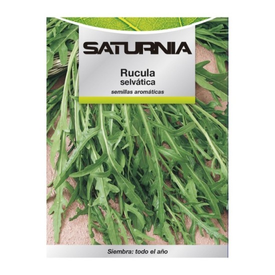 Semillas Aromaticas Rucula Selvatica (2,5 gramos) Horticultura, Horticola, Semillas Huerto, al por Mayor | Almacén de Ferretería