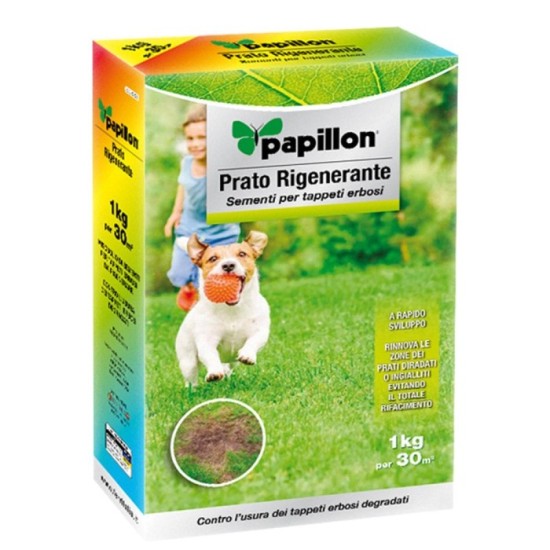 Semillas Cesped Repoblador 1 Kg, al por Mayor | Almacén de Ferretería