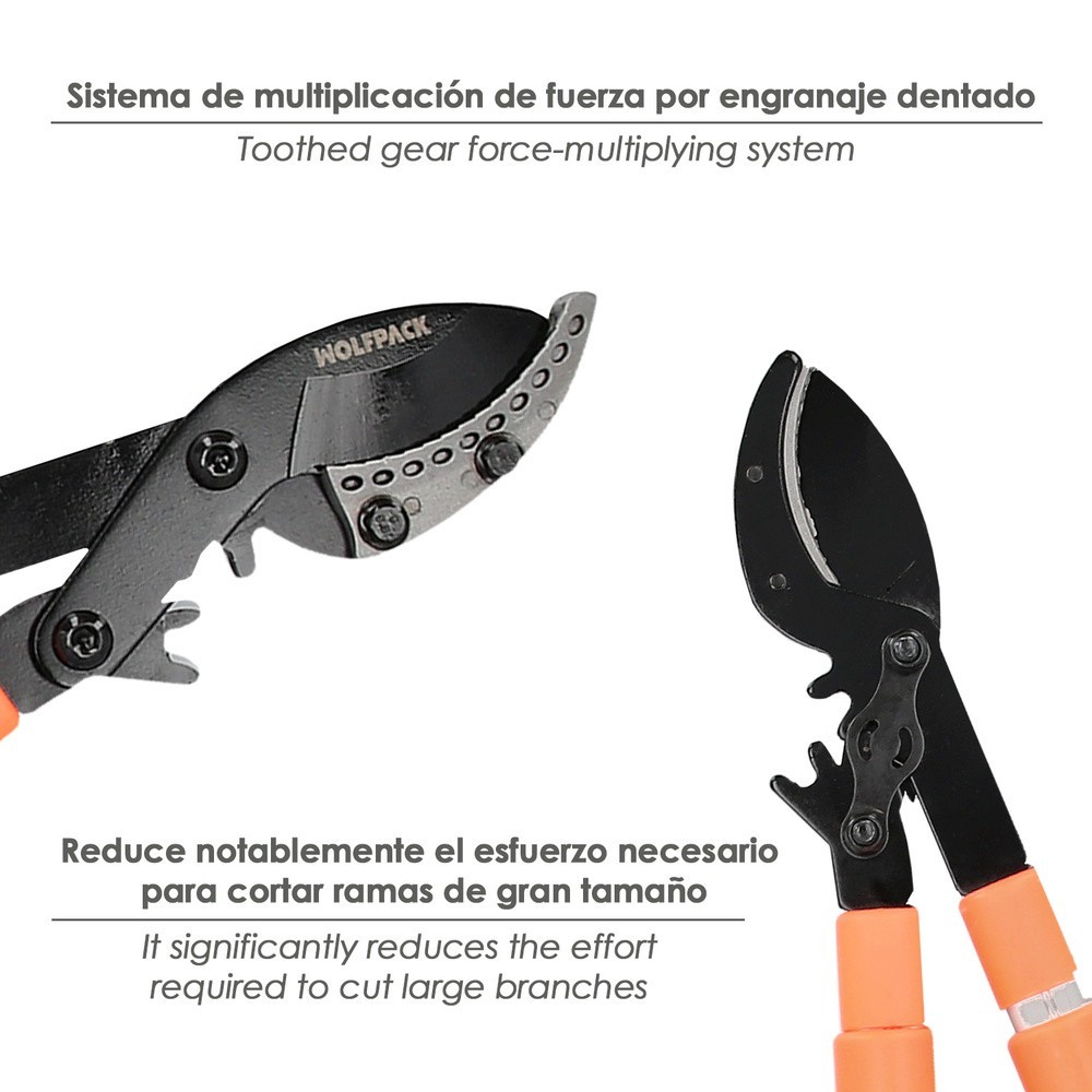 Tijera Podar 2 Manos Sistema Yunque Mangos Telescopicos Aluminio Con Multiplicador De Fuerza al por Mayor | Almacén de Ferreterí