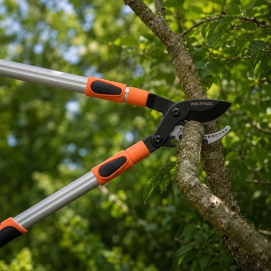 Tijera Podar 2 Manos Sistema Yunque Mangos Telescopicos Aluminio Con Multiplicador De Fuerza al por Mayor | Almacén de Ferreterí