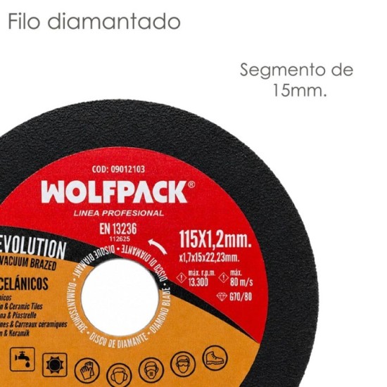 Disco Diamante Evolution Corte Mas Rapido y Preciso Ø 115 mm, Porcelanicos, Gres, Ceramica, Vidrios, Segmento de 15 mm, al por M