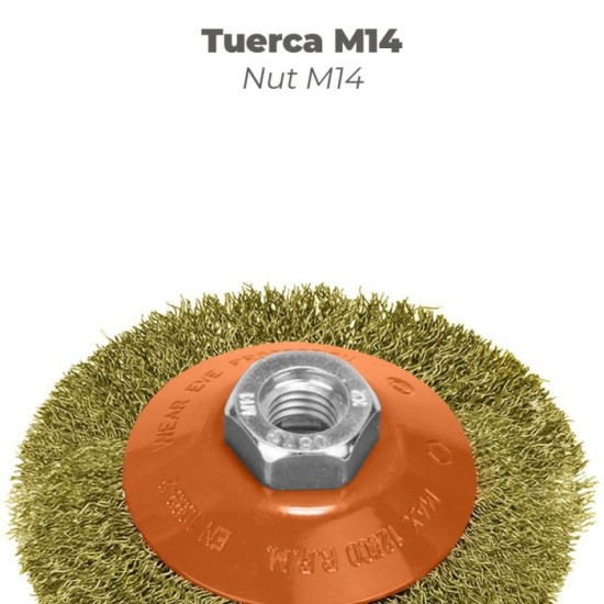Cepillo Oblicuo Con Alambre De Acero Latonado Rosca M14, Ø 100 mm, Alambre de Ø 0,30 mm, al por Mayor | Almacén de Ferretería