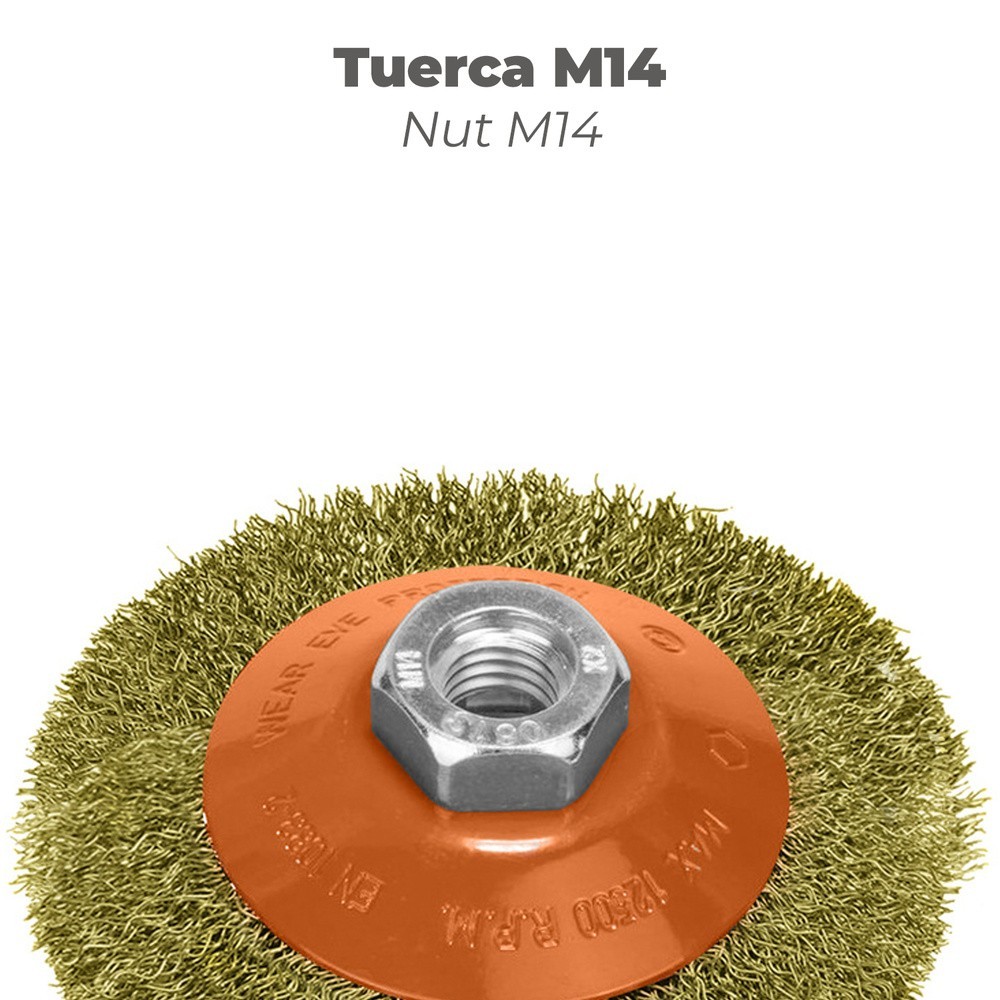 Cepillo Oblicuo Con Alambre De Acero Latonado Rosca M14, Ø 100 mm, Alambre de Ø 0,30 mm, al por Mayor | Almacén de Ferretería