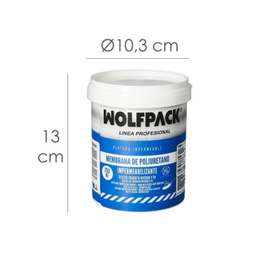 Pintura Impermeabilizante Membrana Transparente Para Exteriores / Interiores 750 ml, Color Transparente al por Mayor | Almacén d