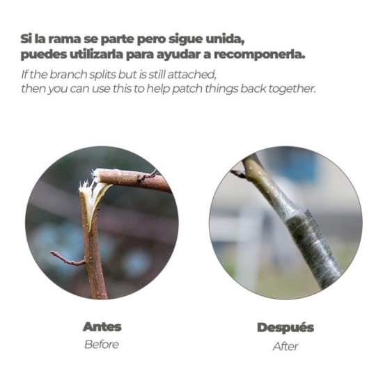 Cinta Injertar Elastica 3 cm, x 100 metros, al por Mayor | Almacén de Ferretería
