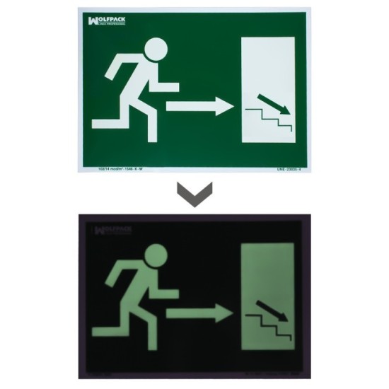 Cartel / Señal Fluorescente / Señal Fluorescente Salida Escalera Derecha Abajo 21x30 cm, al por Mayor | Almacén de Ferretería
