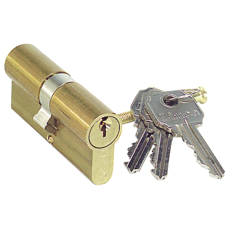 Cilindro Lince Europerfil Latonado  0100/60 mm,