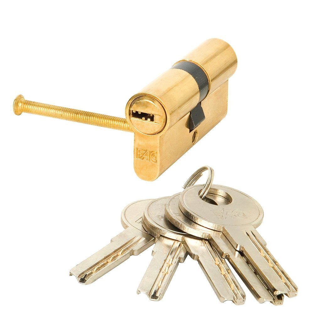 Cilindro Fac Seguridad 60-p 30x30 Latonado 15,0 mm, al por Mayor | Almacén de Ferretería