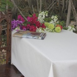 Mantel Antimanchas Textil Unita Beige Rollo 1,4 x 25 metros,