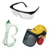 GAFAS PROTECTORAS